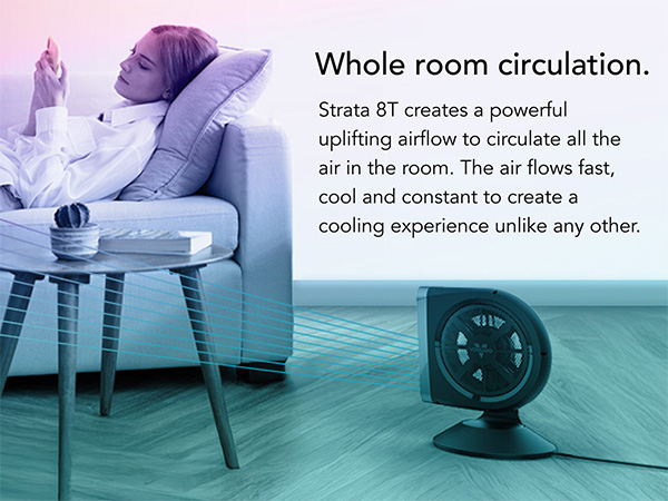 Whole Room Circulation Mobile