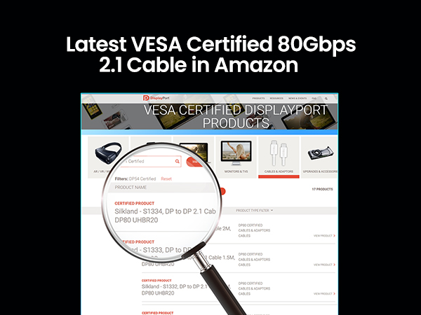 dp80 vesa certified 6.6ft