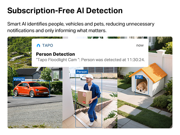 Subscription-Free AI Detection