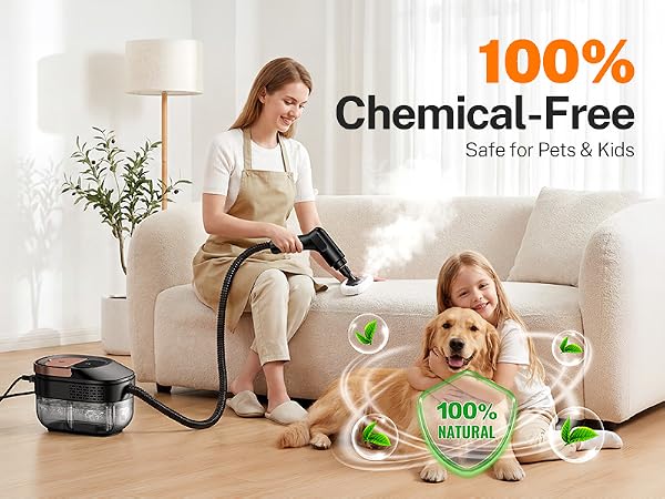 steam cleaner for home