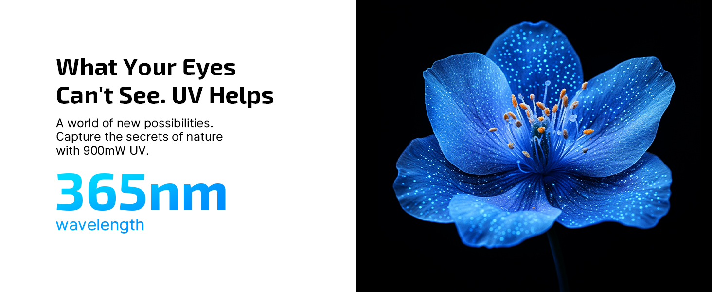 What Your Eyes Can&amp;#39;t See. UV Helps