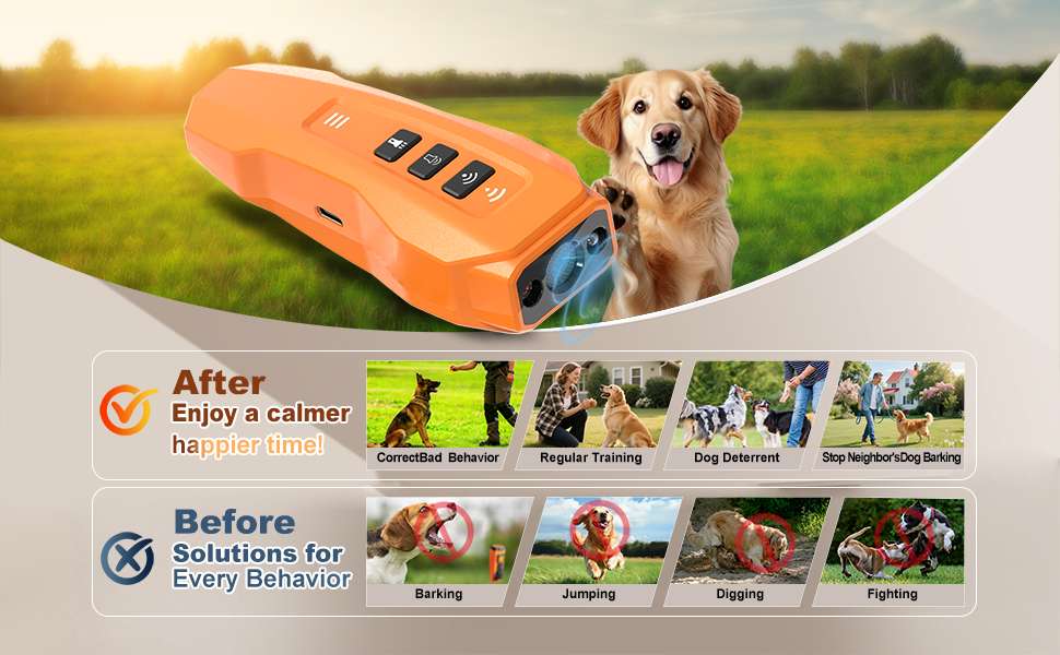 dog remote training