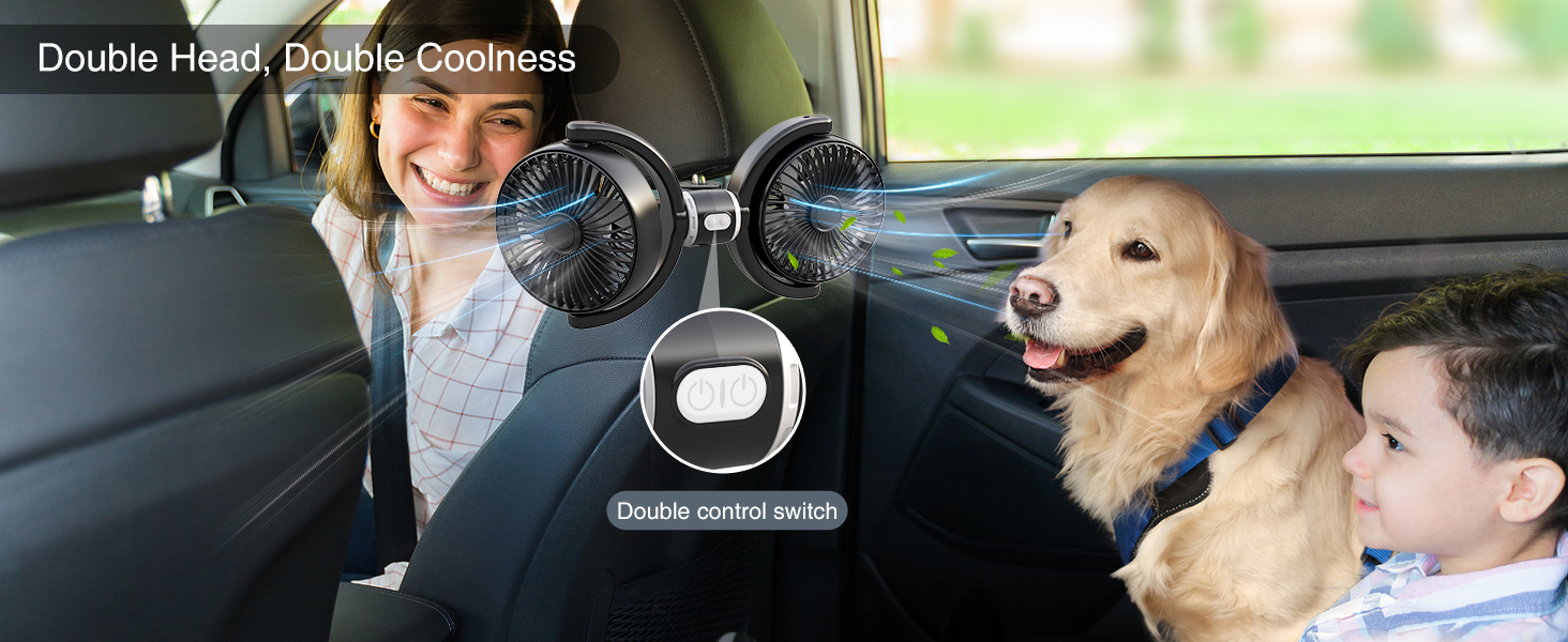 double head car fans have double control switch