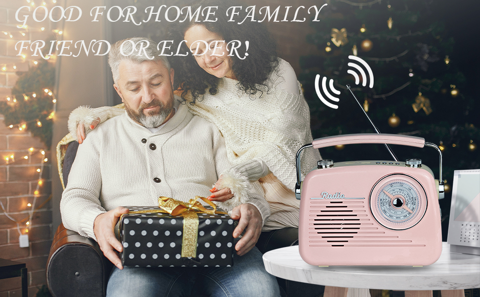 D216 portable radio Bluetooth speaker