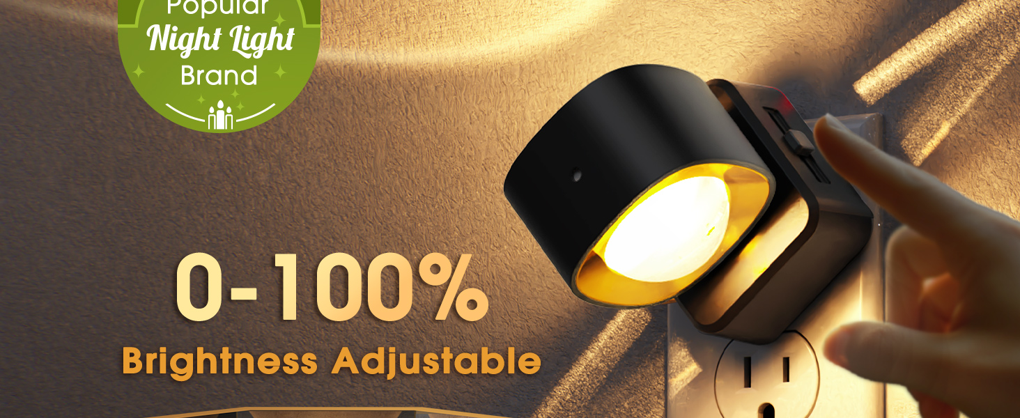 brightness adjustable night light