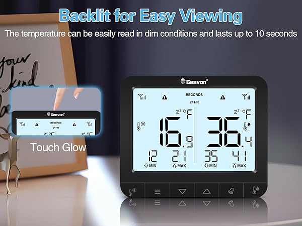 Refrigerator Thermometer