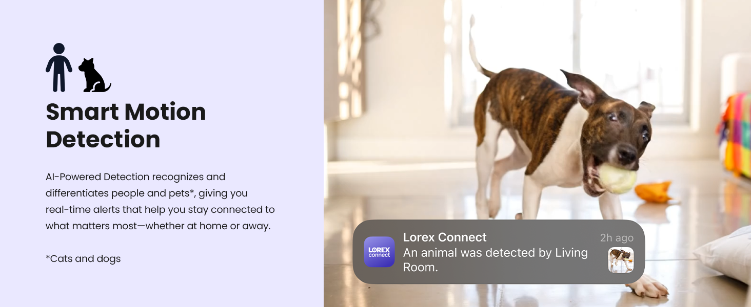 Smart Motion Detection Keeps You Connected