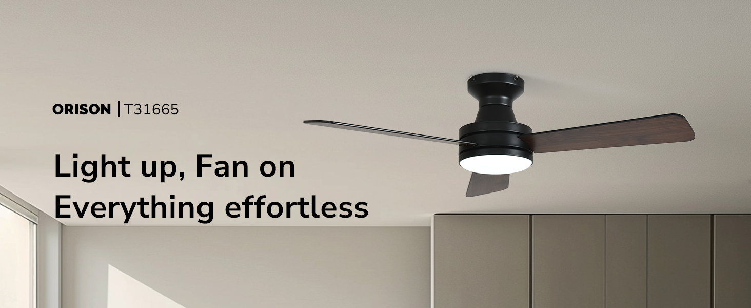 ceiling fan