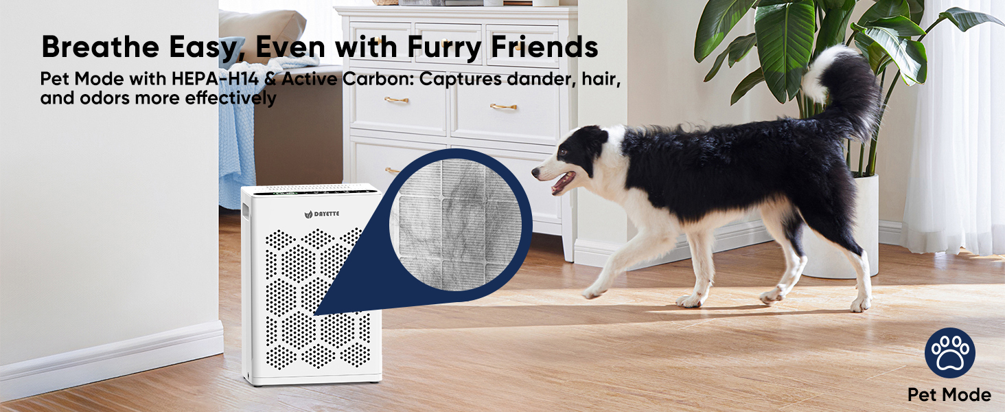air purifier for pets