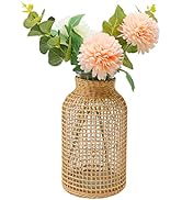 MDEOOSKY Straw Woven Glass Vase 7.87''x1.96''x4.13''Boho Glass Flower Vase Country Rustic Style V...
