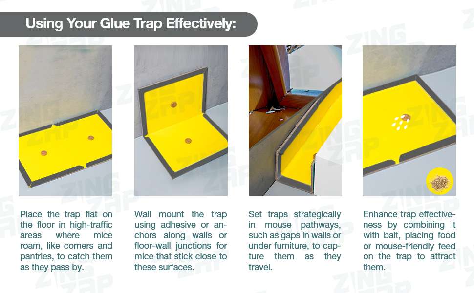 mouse trap