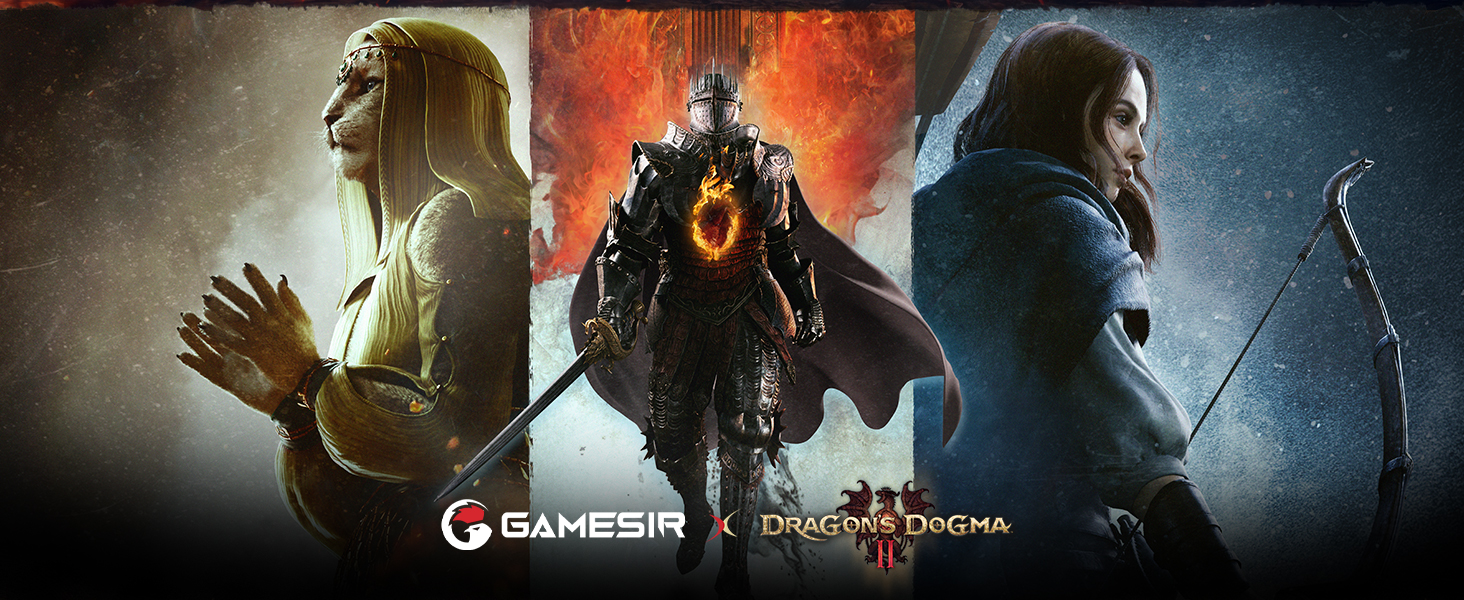dragon's dogma