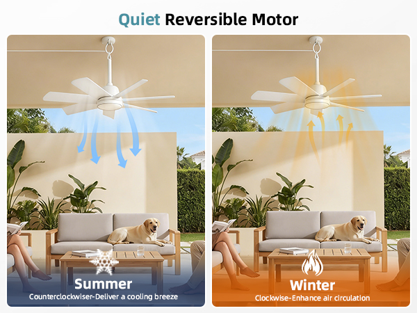 outdoor ceiling fan no light