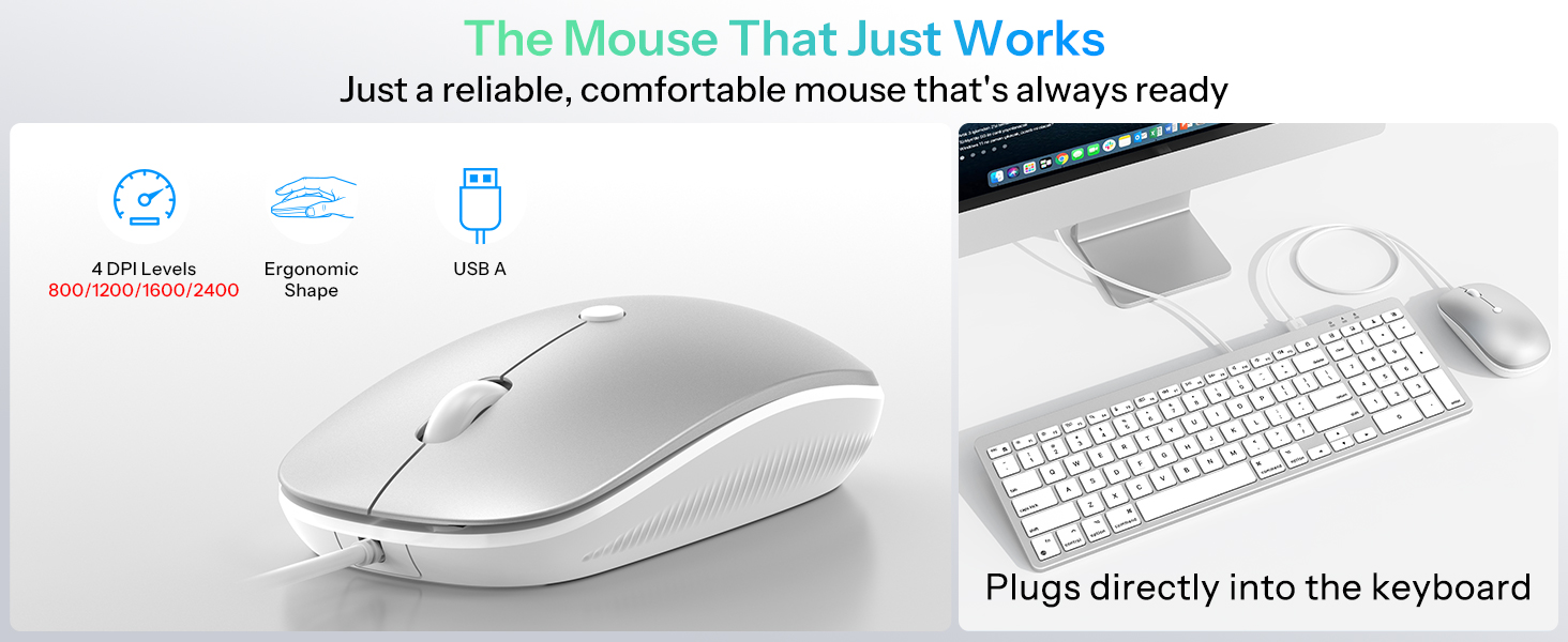 MacBook Keyboard and Mouse