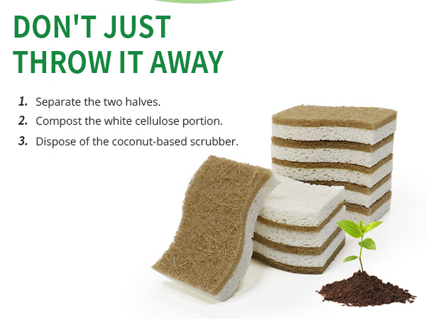 dish sponges