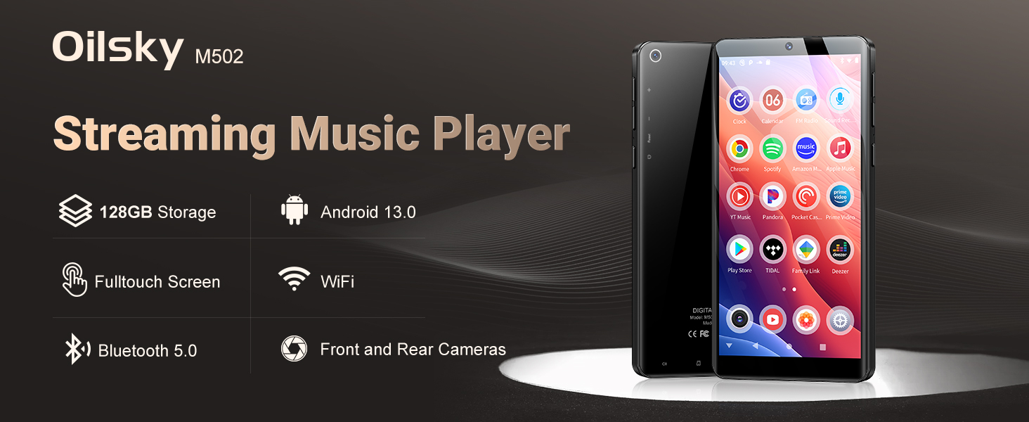 MP3 Player with Bluetooth and WiFi