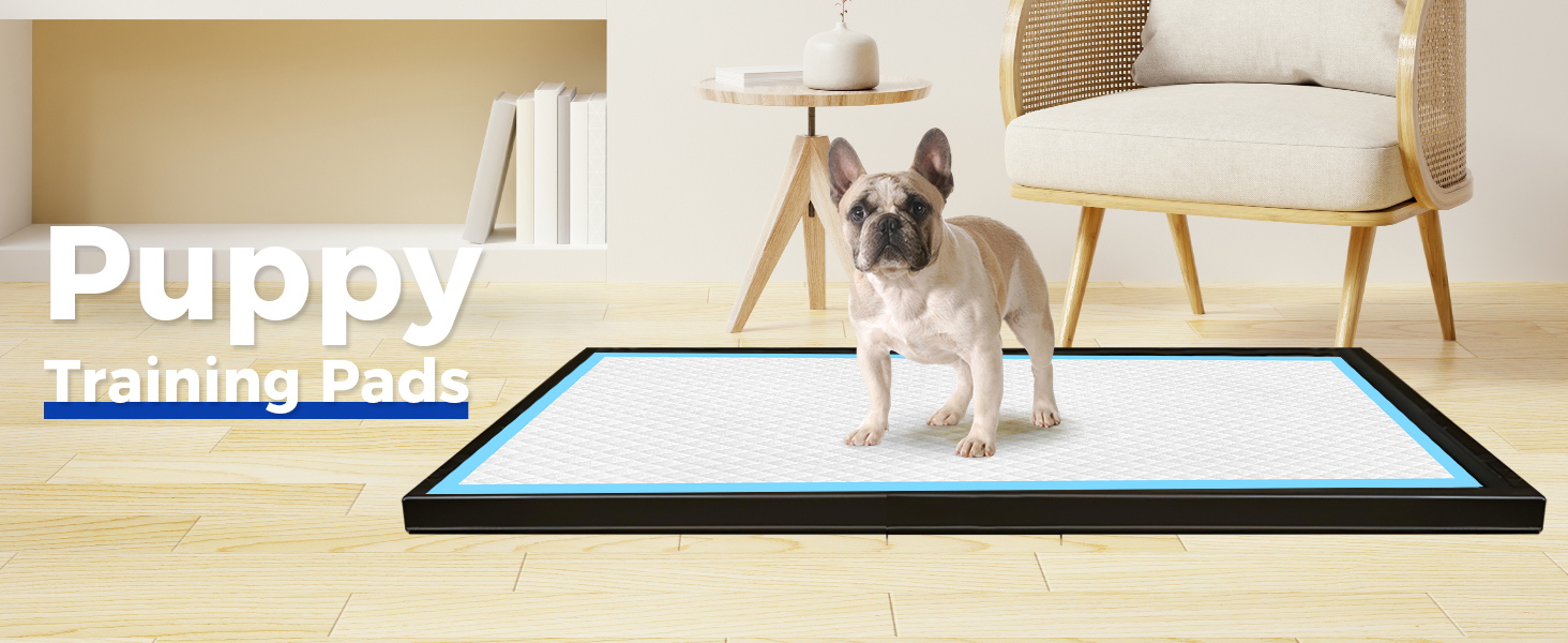 puppy potty pee pads xl