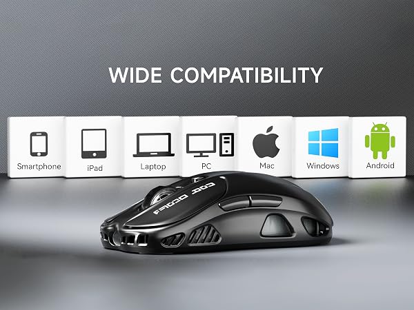 mouse