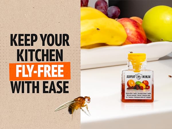 safe insect trap for food prep area