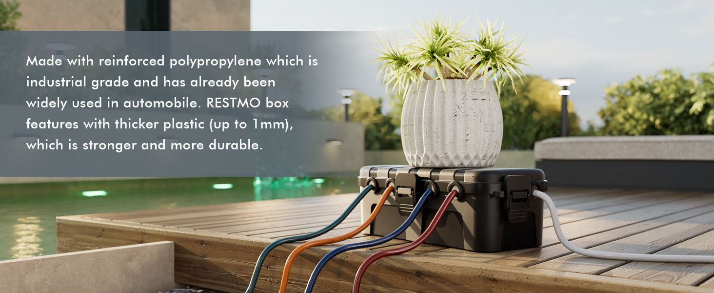 a close up of a box with a plant in it