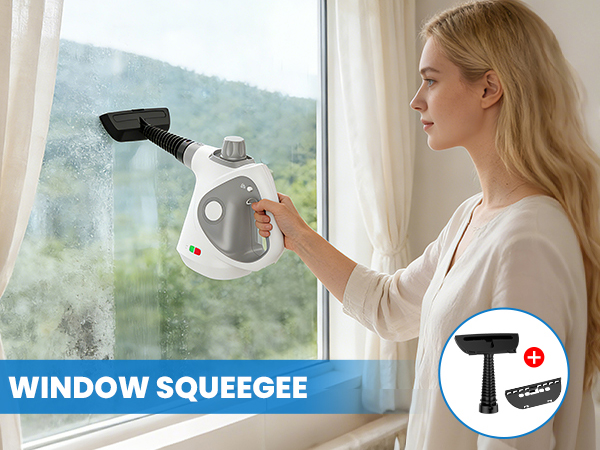 handheld steam cleaner