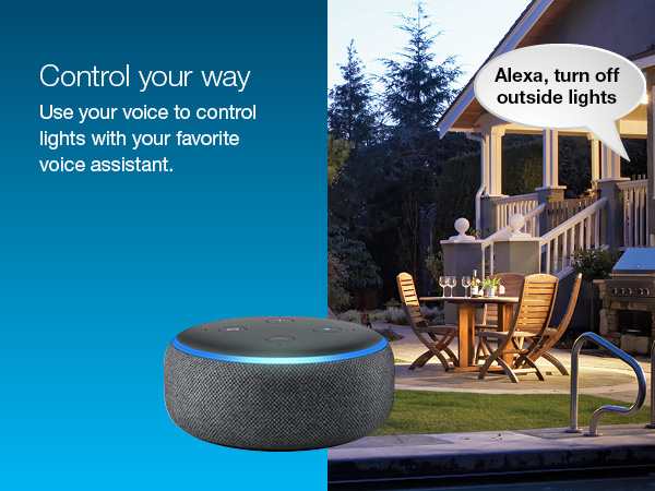 Control your lights with your voice