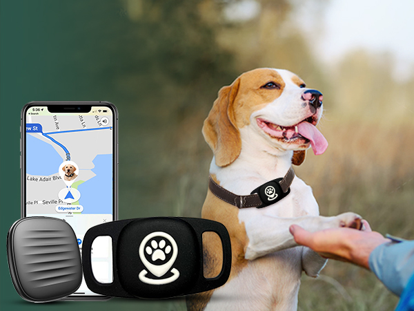 pet location tracker with collar