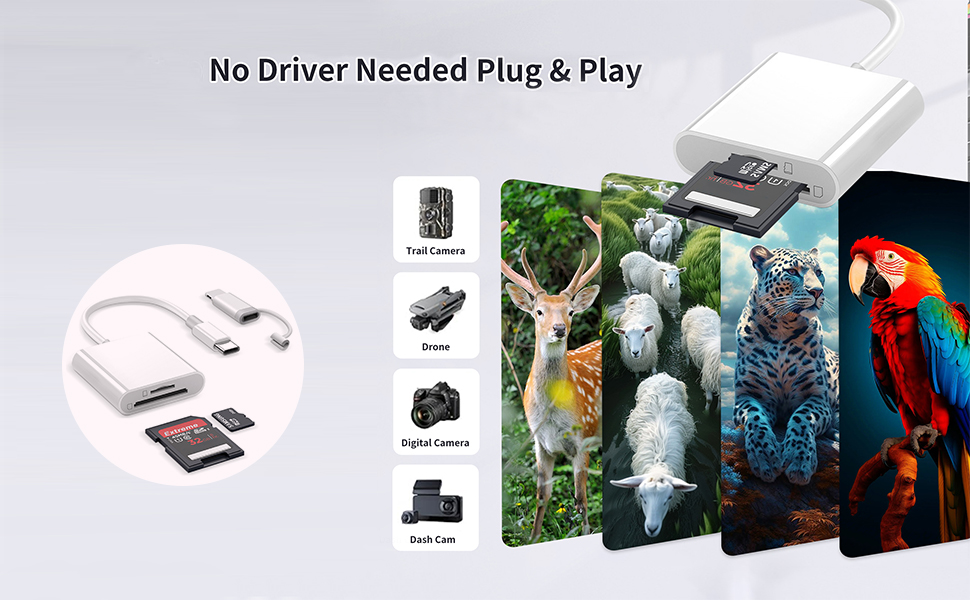 SD Card Reader for iPhone