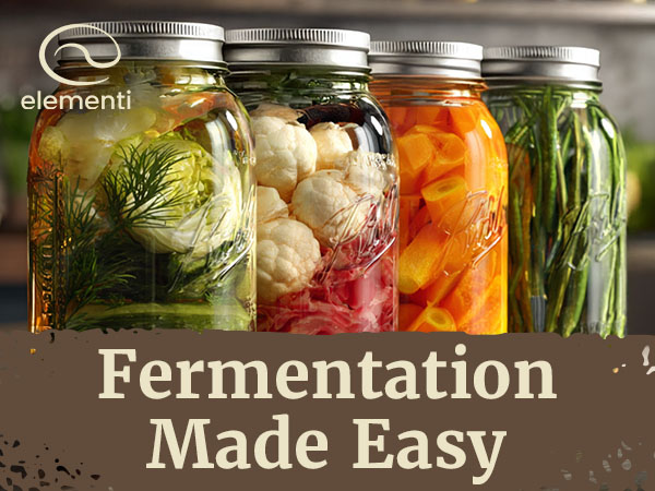 fermentation made easy
