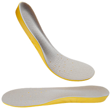 shoes insert