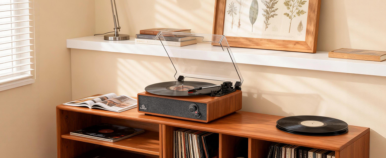 record player for vinyl with speakers
