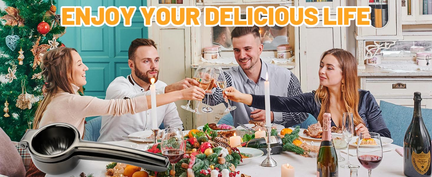 Heavy Duty Lemon Juicer