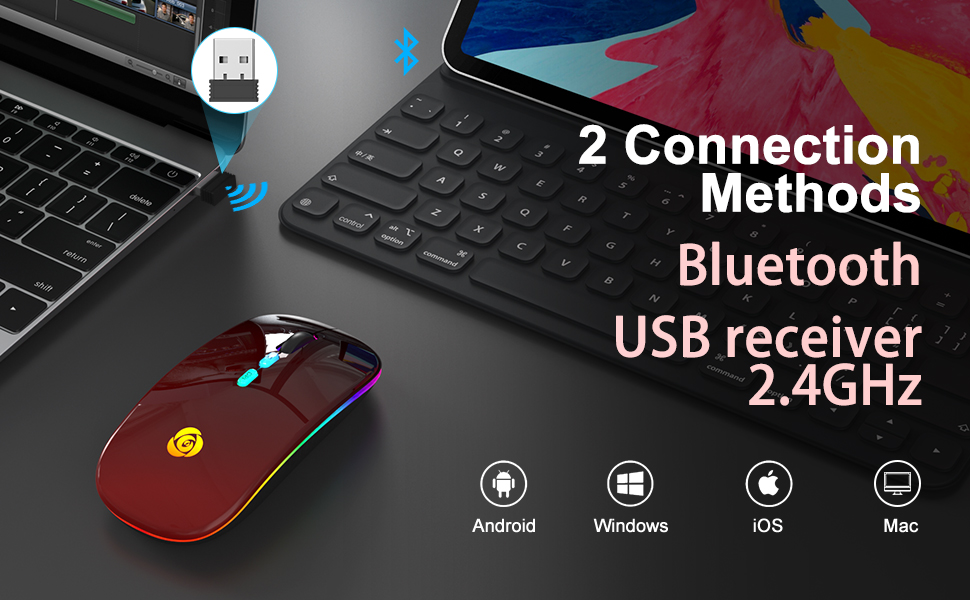 apple mouse Apple mouse