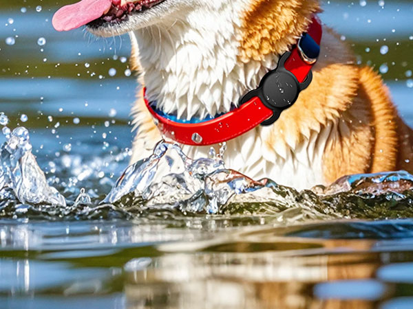 Waterproof Tracker Dog Collar Holde