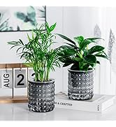 Funducts 2PCS Self Watering Planters 4.7 Inch Self Watering Pots for Indoor Plants, African Viole...