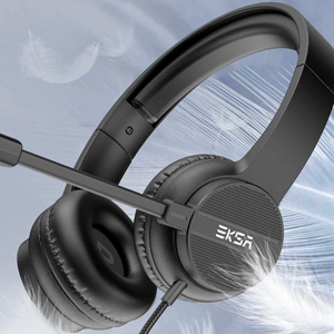 pc headset with microphones