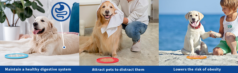 Good for dogs’ physical and mental health