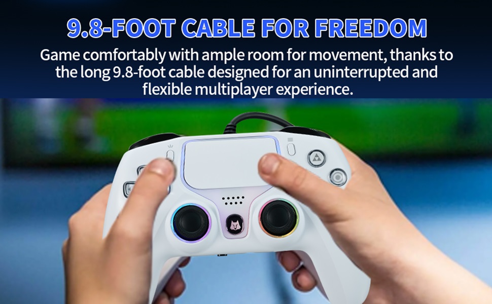 NBCP PS5 game controller