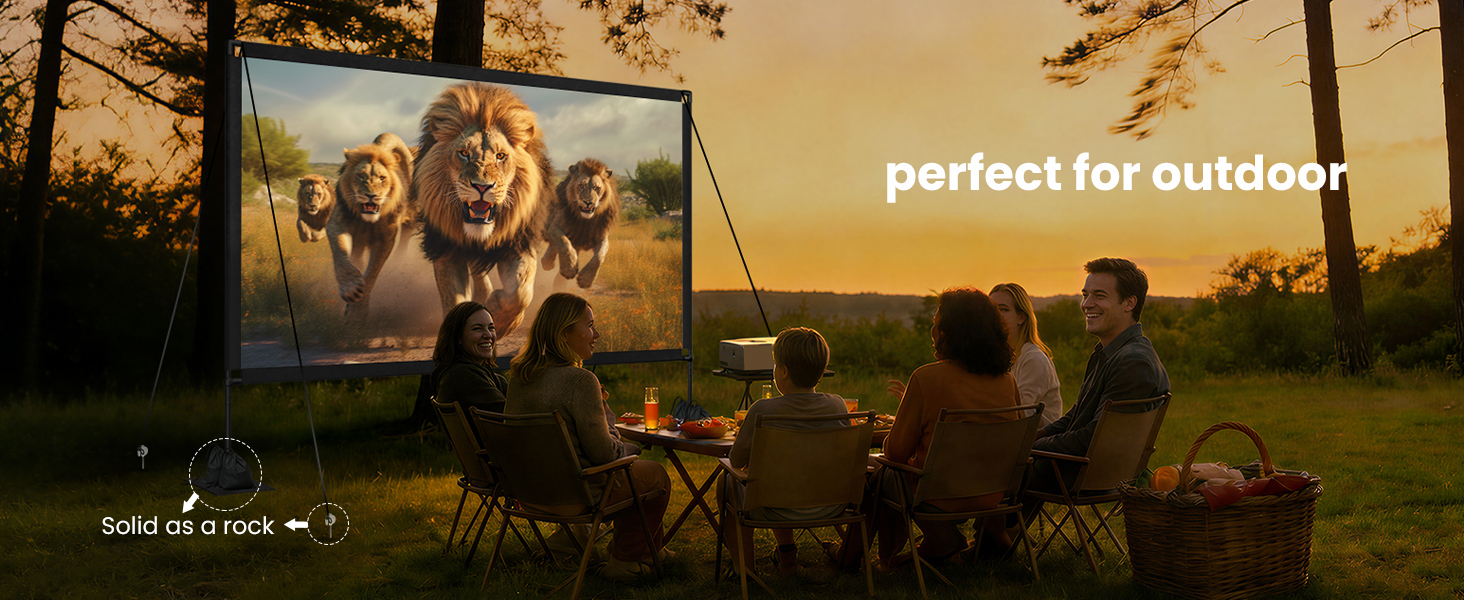 Outdoor projector screen