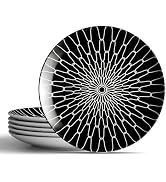 AYFDISHS 10-Inch Dinner Plates Set of 6, Black and White Grid Ceramic Plates, Large Checkerboard ...
