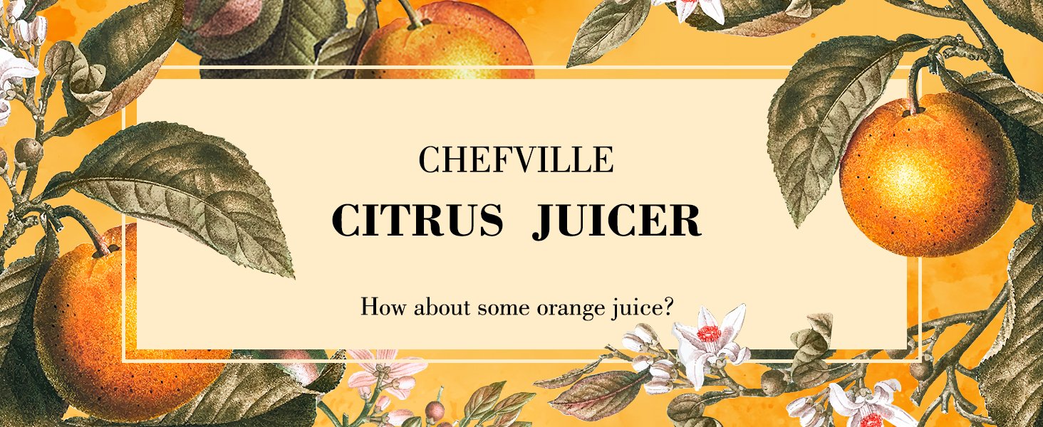 citrus juicer
