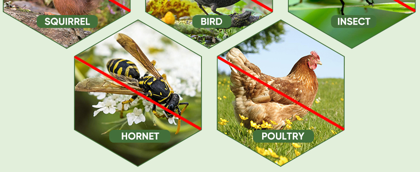 Bird_Garden_Netting_for_Garden_Protection_1