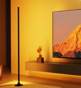 Reifeiniwei Floor Lamp with RGB,Smart LED Corner Lamp with16-Million Colors / 234-Dynamic Lightin...