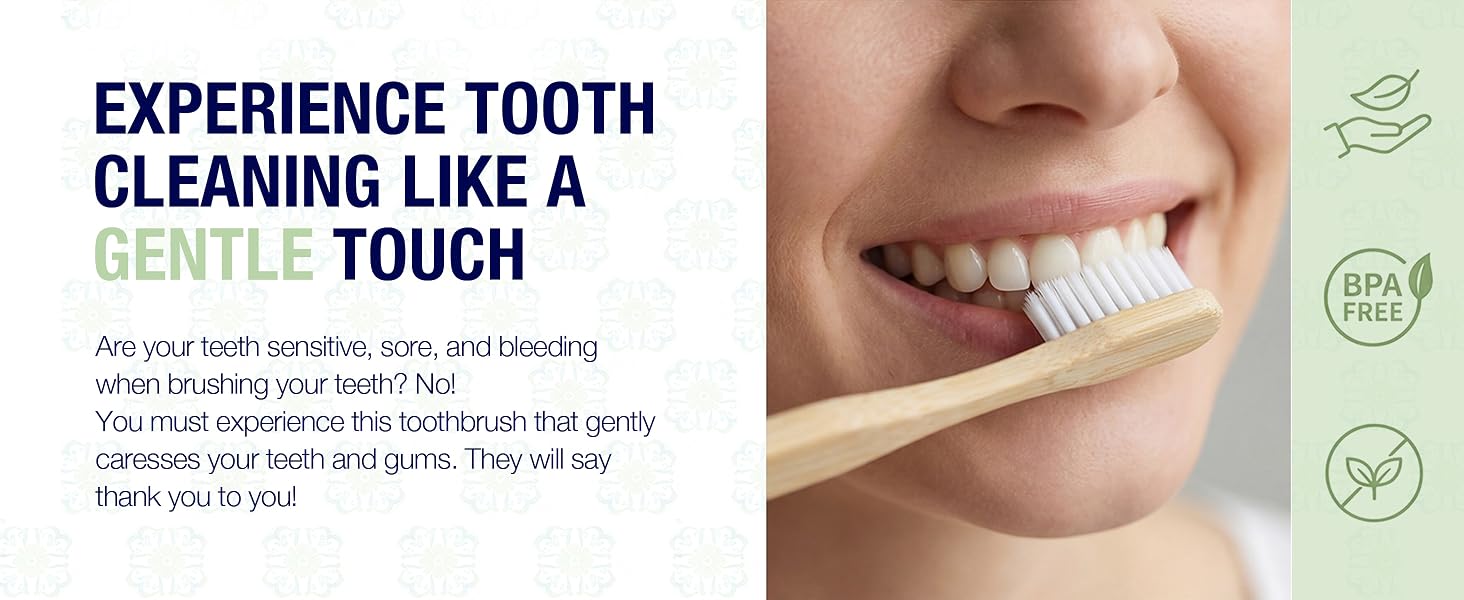 Toothbrush Adult