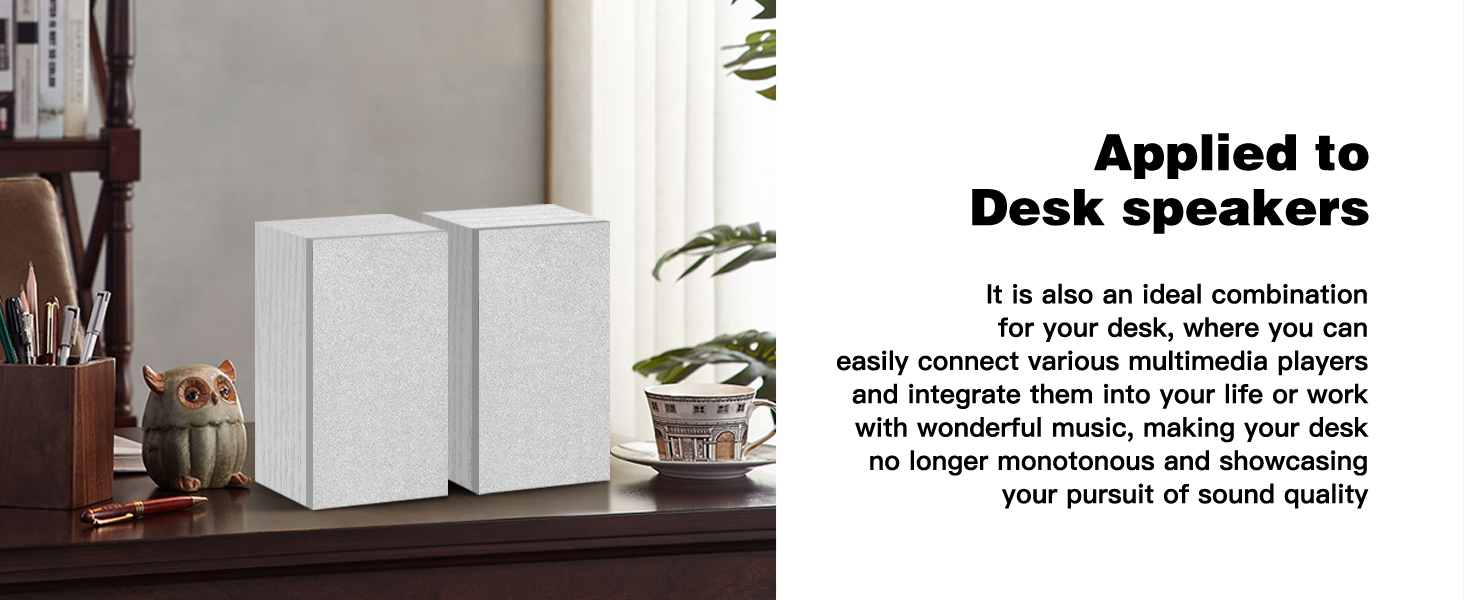 Desktop Bookshelf Speakers