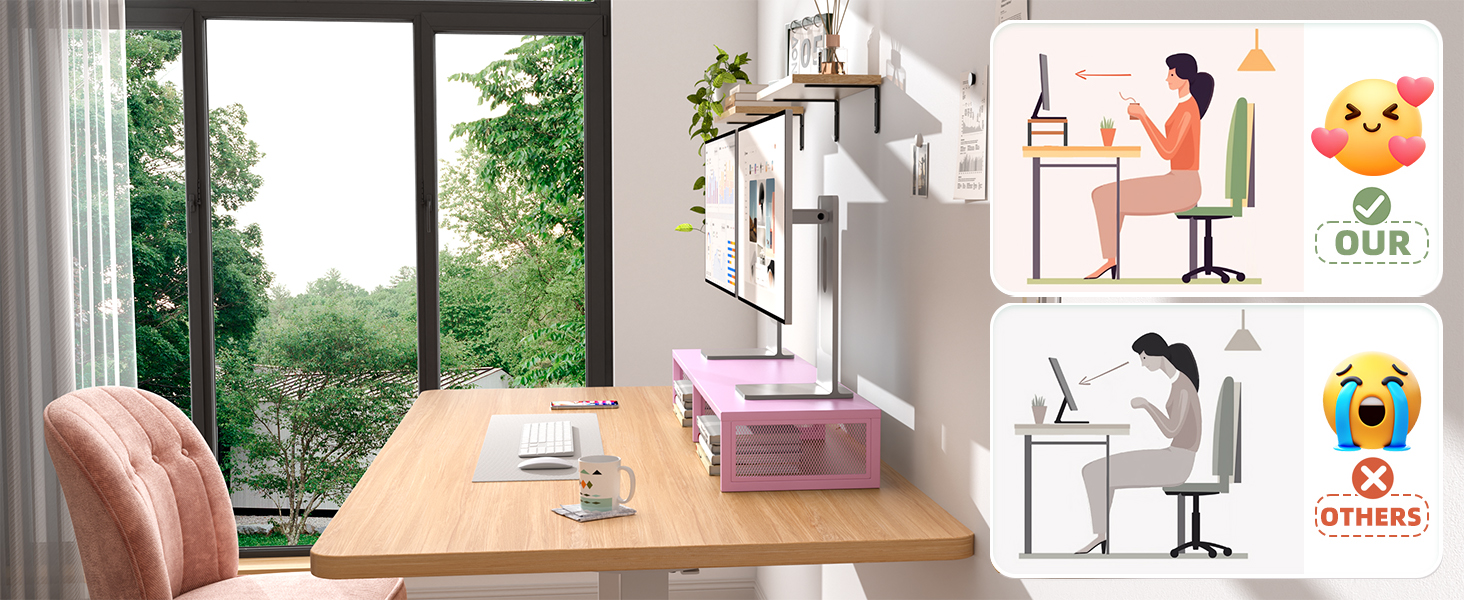 dual computer monitor printer pc tv stand riser desktop workspace desk organizer office supplie