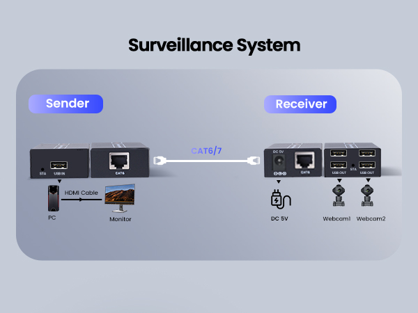 Surveillance system