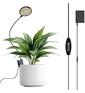 SGLEDs Grow Lights for Indoor Plants, Full Spectrum Plant Grow Lights, 4000K Pot Clip LED Plant L...