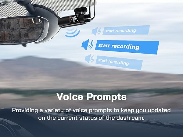Voice Prompts