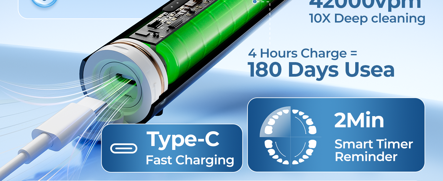 Adult electric toothbrush